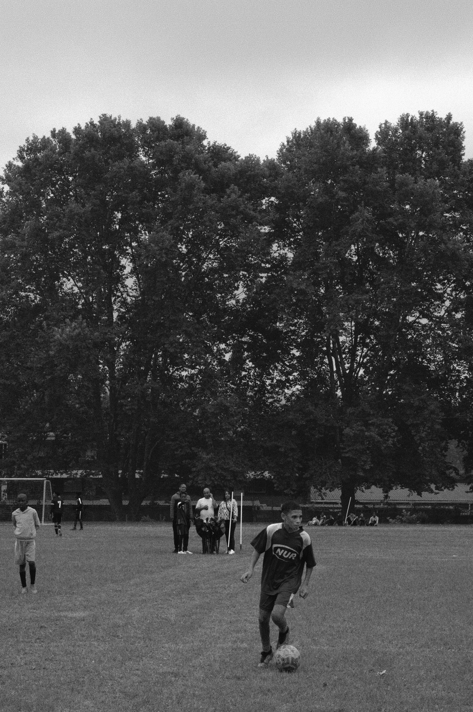 Summer album photo DSC03652