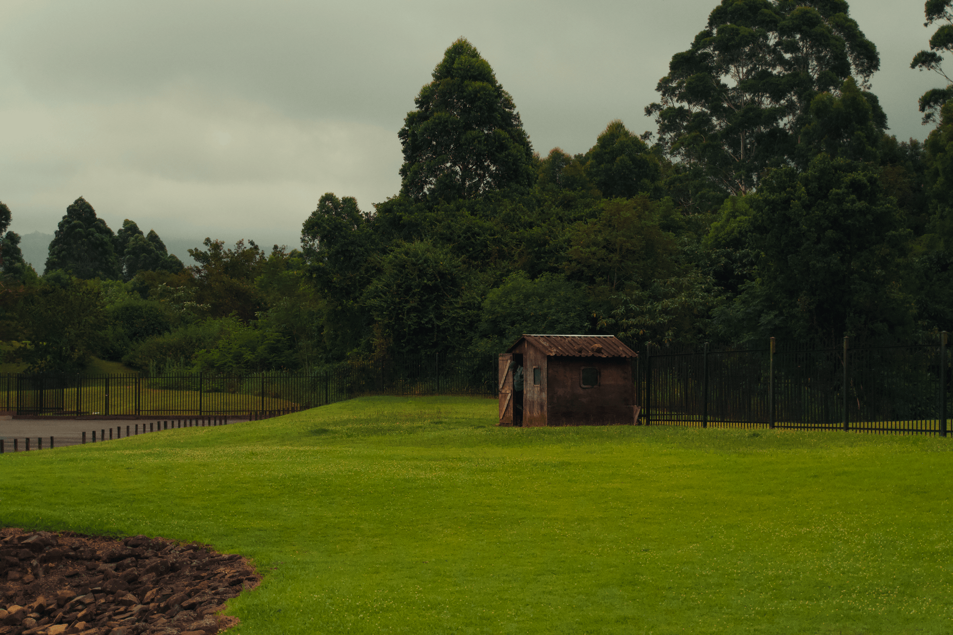 Summer album photo DSC08161