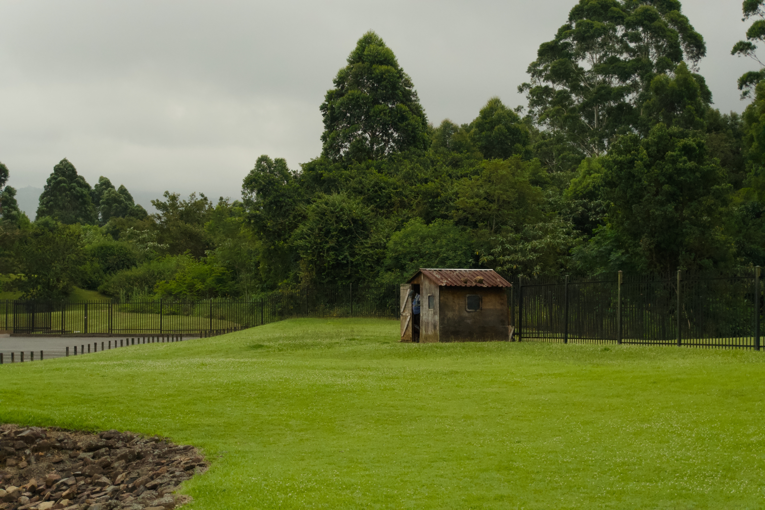 Main image, of umbrellas at the beach on a sunny day